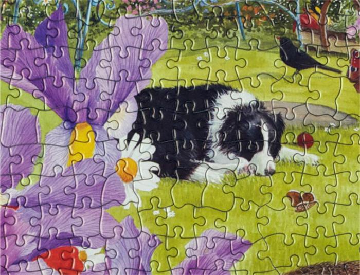 Puzzle je kreativan i intelektualni hobi