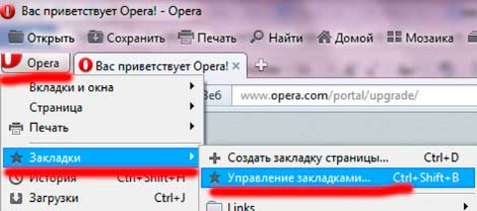 Kako spremiti oznake u "Opera"
