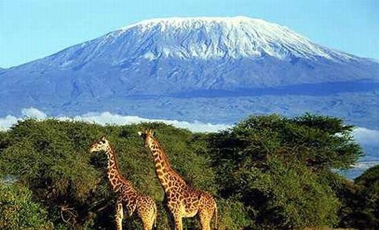 Znaš li koji je najveći vulkan u Africi?