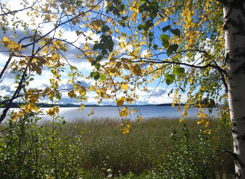 Karelia: jezera i priroda. Na kojem je jezeru najbolje mjesto za odmor?