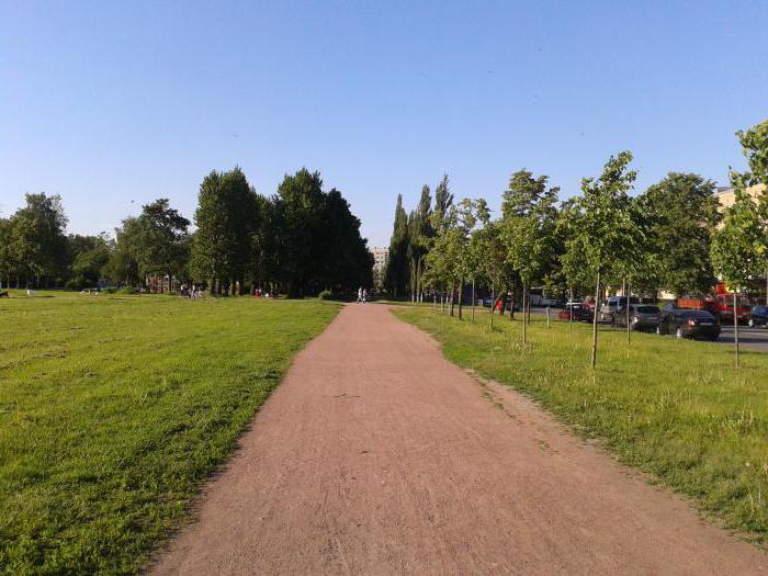 Polustrovski park je najzeleniji rekreacijska zona u Krasnogvardeisky okrugu u St. Petersburgu